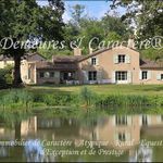 Large character property in the PUY DU FOU region