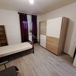 GRAČAC - Spacious apartment