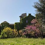 AVIGNON 84000 Château 580 m² 1 245 000