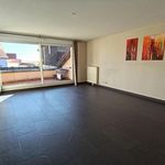 Appartement / Duplex, 4 pièces 81 m2 à Fessenheim Le Bas