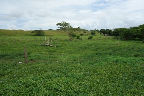 - Agricultural / Residential Lease - Freehold Land - 3.37 Acres - Momi Area 3.37 acres land have become available for sale in Momi. It is currently under Agricultural / Residential lease. There is a bore at the property and electricity is connected. ...