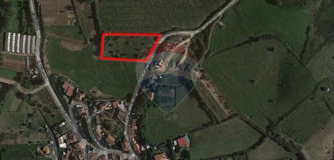 Description Agricultural Land with 3.240m² Inserted in an area with a strong agricultural component. The rustic land has the category of, Non-Urbanizable and a total area of 3240m². Land for agriculture, on a hillside, with the possibility of greenho...