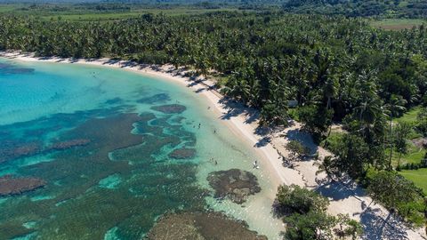 Land directly on the beach about 320,000 m2 / 80 acres With 270 meters of beach front. Mostly flat terrain. 1 mountain bajato on the property Very good access from main road Next door there is water and electricity option to get 1 million m2 here, si...