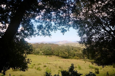 For sale agricultural land with pen. Nestled in the upper Gallura, 15 minutes by car from Arzachena, in a fairy-tale landscape, in unspoiled nature. The land, immersed in an ever-changing and never predictable beauty, is surrounded by hundreds of cen...