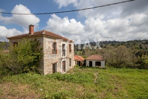 Property Code: 25315-9136 - Maisonette FOR SALE in Sipiada Lafkos for €155.000 Exclusivity. This 149 sq. m. Maisonette is on the Ground floor and features 4 Bedrooms, Livingroom, Kitchen, . The property also boasts tiled and wood floors, view of the ...