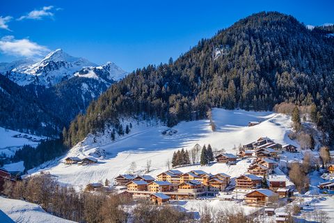 Nature in its raw state! The Arêches-Beaufort resort is immersed in nature, at the foot of the mountain pastures. This year-round village-resort is renowned for its two flagship activities: winter sports and the production of Beaufort cheese. The dom...