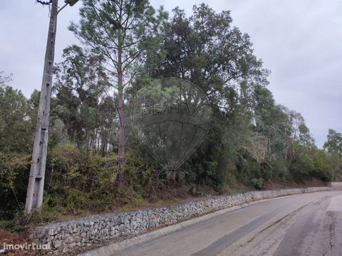Rustic land with 9240 m2 Eucalyptus Pine trees Storage annex Already enrolled in BUPI Article 41 Other agricultural areas 1 - Without prejudice to the legislation in force on the National Ecological Reserve, in other agricultural areas, the Municipal...