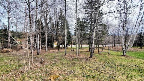 Rareté sur le marché, à proximité du Mont-Sainte-Anne, terrain situé dans un quartier paisible et boisé, respectant la nature et la luxuriante végétation. Ce terrain de 22 094 p², offre au futur acquéreur la possibilité de réaliser un projet de const...