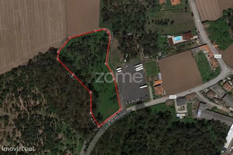 Identificação do imóvel: ZMPT539460 Terreno industrial com 10.930 M2 em Modivas V, Do Conde-Porto! Este terreno, fica a 400 metros da nacional nr 13,tem uma frente de 45 metros que vai alargando,conforme levantamento topográfico nas fotografias, todo...