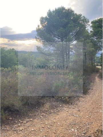 Land in the Bisbal d'Empordà, next to the magnificent location of the 'pou del glaç', access by a dirt road and with wonderful views, next to the bargain road, about 3,600 m2 of land about 2 km from the town. Polygon 7 - Plot 66 VINYASSA La Bisbal d'...