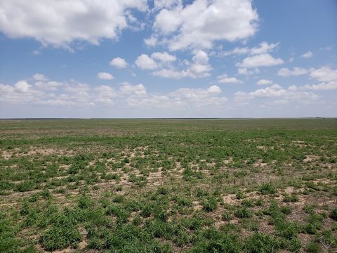 Wright's Farm and Ranch Parcel 11 is a 320 +/- acre parcel of dryland farm ground. This parcel has a crop share lease for the 2023 crop season with the owner's share going to the Buyer. This parcel would be a great opportunity to add to your investme...