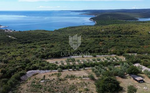 Location: Istarska županija, Labin, Labin. Building plot with sea view. In the vicinity of Labin, we are selling a beautiful building plot with a fantastic view of the sea. The terrain is flat and oriented to the south, so it is an excellent location...