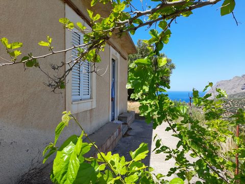 Tourloti, Sitia, Oost-Kreta: Huis met groot perceel op 1,5 km van de zee. Het perceel is 6.300m2 en heeft olijfbomen. Het huis is ongeveer 35m2 en bestaat uit een open keuken-woonkamer, een slaapkamer en een buitentoilet. Er is ook een berging van on...