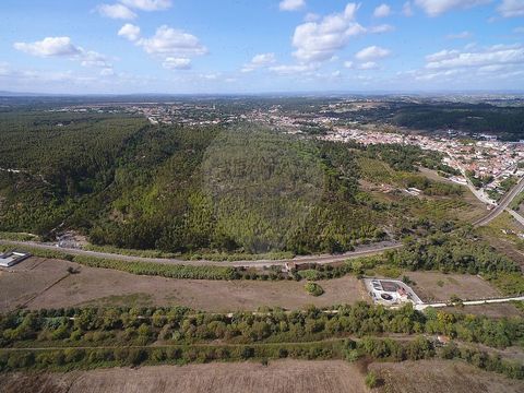 Terreno situado na Fonte de Pipa no Vale de Santarém. Com acesso pela Estrada Real, encontramos este terreno com 17,480 hectares. Possui ainda cerca de 7,47 hectares de Eucaliptal, 4,48 hectares de Pinhal Manso e 1,264 hectares de Olival. Fica situad...