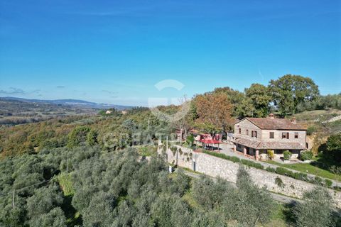 La proprietà in oggetto comprende un casale posto su 2 livelli con le tradizionali facciate in pietra ed un caratteristico portico a 6 colonne disposto come segue: al piano terra è presente un grande e luminoso salotto con camino, tavolo da biliardo ...