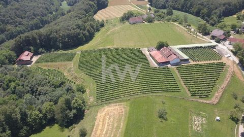 Hierbij bieden wij de verkoop aan van een prachtig pand met wijngaard in Lastomerci. De nederzetting Lastomerci strekt zich uit langs de hellingen van Radgonske gorice, tussen Spodnja Ščavnica en Ivanjševci. De woning is gelegen op een van de helling...