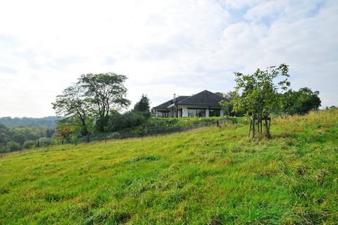 Cette maison individuelle pour 9 personnes est située à Somme-Leuze, dans la partie wallonne de la Belgique. La maison de vacances est soignée et confortable avec un éclairage confortable. Le grand séjour dispose d'une belle cheminée, d'une TV plasma...