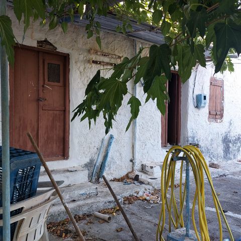 Sklavi, Sitia, Ostkreta: Traditionelles Steinhaus auf einem Grundstück mit Obstbäumen und Meerblick. Das Haus ist 60 m² groß und steht auf einem Grundstück von 1050 m². Es muss modernisiert werden. Es besteht aus einer Küche, einem Kamin, drei Zimmer...