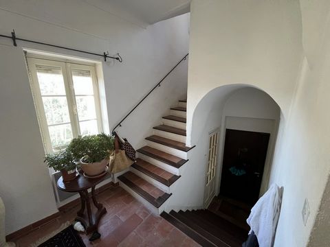 photo no. 13
