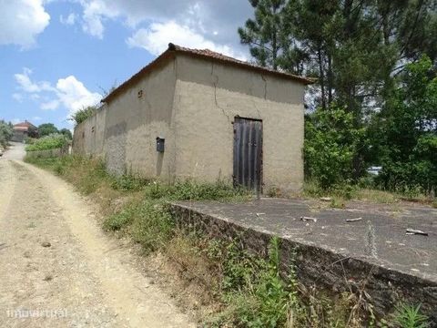 Grundstück mit altem Haus, in einem Dorf in der Nähe von Albufeira do Cabril und Bouçã. Das Haus ist mit 133 m2 registriert und muss komplett rekonstruiert werden. Es verfügt über eine Tenne/Terrasse mit toller Sonneneinstrahlung. Das Grundstück verf...