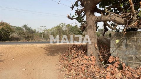 Hier komt een enorm land van 2.500 vierkante meter aan de snelweg van Sanyang, amper 1 km van het politiebureau van Sanyang op weg naar Gunjur. Het ligt aan de oostkant van Sanyang. Het perceel is al omheind met verschillende soorten bomen, een lokal...