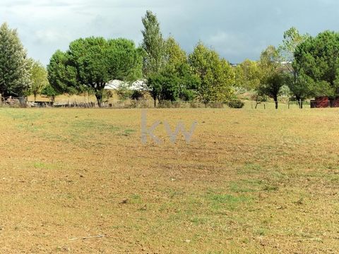 ✅ Excelente oportunidad de adquirir 4000m2 de terreno plano, que te permitirá construir hasta 1000m2. ✅ El terreno está ubicado en la zona de rehabilitación urbana de Alcanhões. Del dictamen técnico del Ayuntamiento de Santarém, destacamos que, para ...