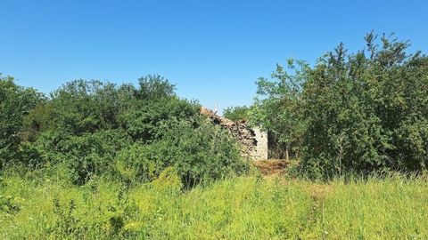 Ancienne maison en pierre avec une cour de 1550 m² à 35 km de Varna dans le village de Voivodino, municipalité de Valchi dol. La cour est de forme rectangulaire et borde des terres agricoles.La face de rue mesure 30 m de long et environ 50 m de profo...