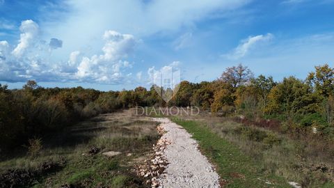 Location: Istarska županija, Svetvinčenat, Svetvinčenat. A building plot of 699m² is for sale, located in a quiet area near Svetvinčent. The land has a flat surface and a regular shape, which enables easy planning and construction. All the necessary ...