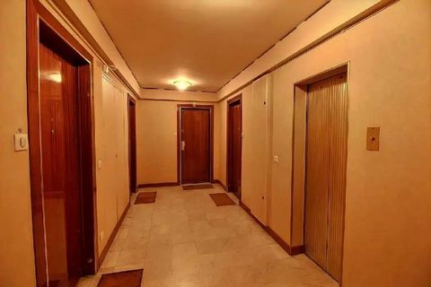 photo no. 8