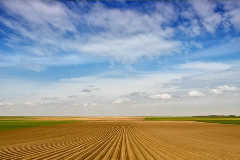 EXCLUSIEF Touraine Prachtig agrarisch landgoed 20 km ten noorden van Tours met een totale oppervlakte van bijna 360 ha, waarvan 331 ha in OCG met woongebouwen en boerderijen, bossen, vijver, uitrusting en DPB. Uitrusting niet inbegrepen. 4.724.000 eu...