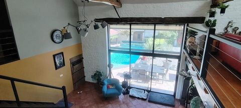 photo no. 9