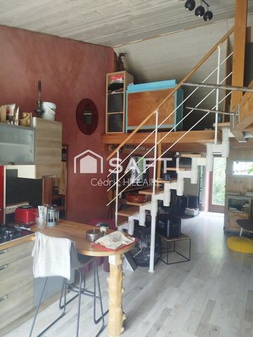 photo no. 1