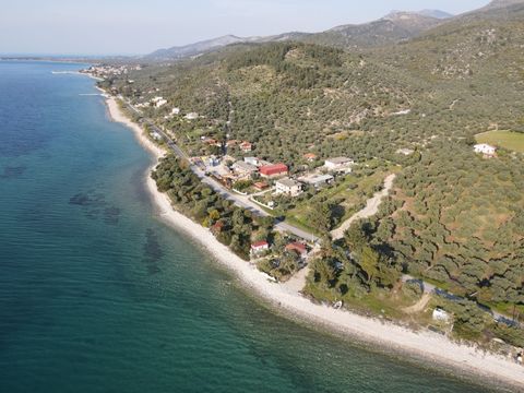 Property Code. 11715 - Agricultural FOR SALE in Thasos Skala Kallirachis for € 20.000 . Discover the features of this 1780 sq. m. Agricultural: Distance from sea 300 meters, Distance from nearest village: 500 meters, facade length: 25 meters, depth: ...