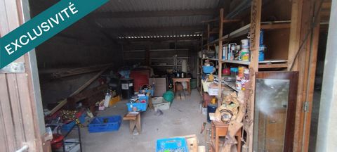 photo no. 17
