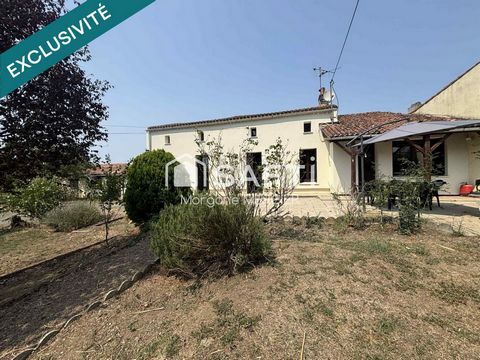 photo no. 10