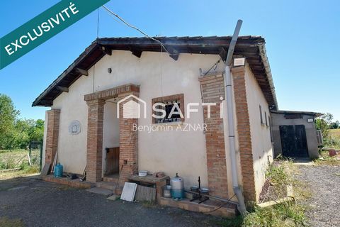 photo no. 10