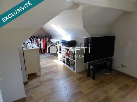 photo no. 12
