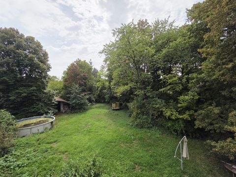 photo no. 16