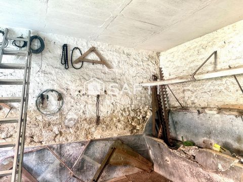 photo no. 10