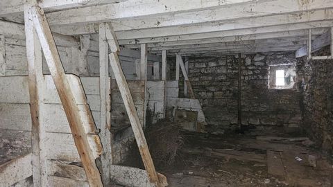 photo no. 9