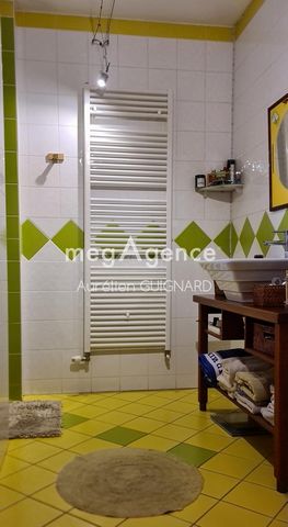 photo no. 11