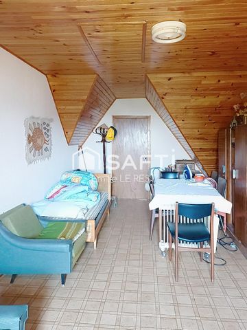 photo no. 6