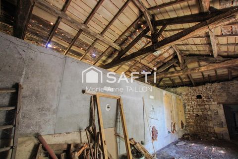 photo no. 3