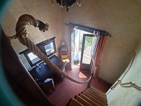 photo no. 25