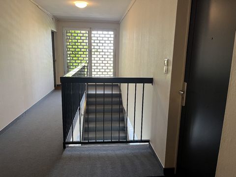 photo no. 10
