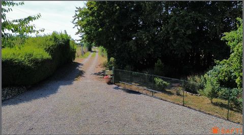 photo no. 14