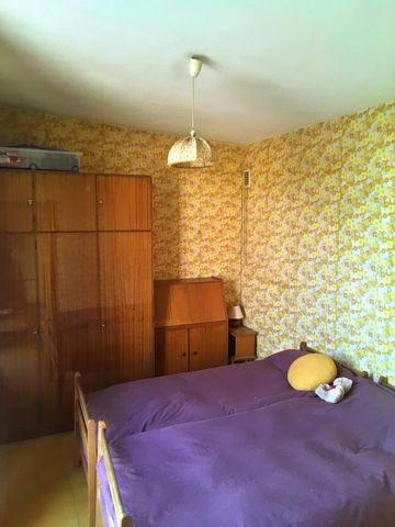 photo no. 11