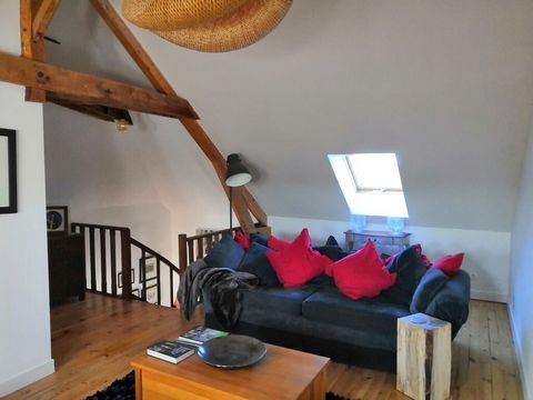 photo no. 16