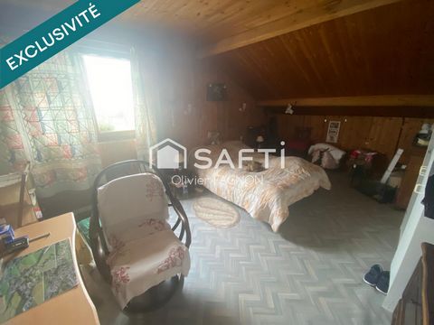 photo no. 11