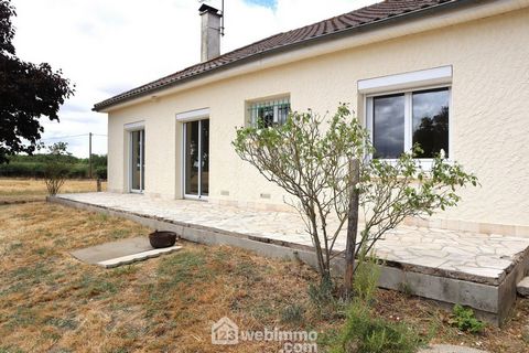 photo no. 9
